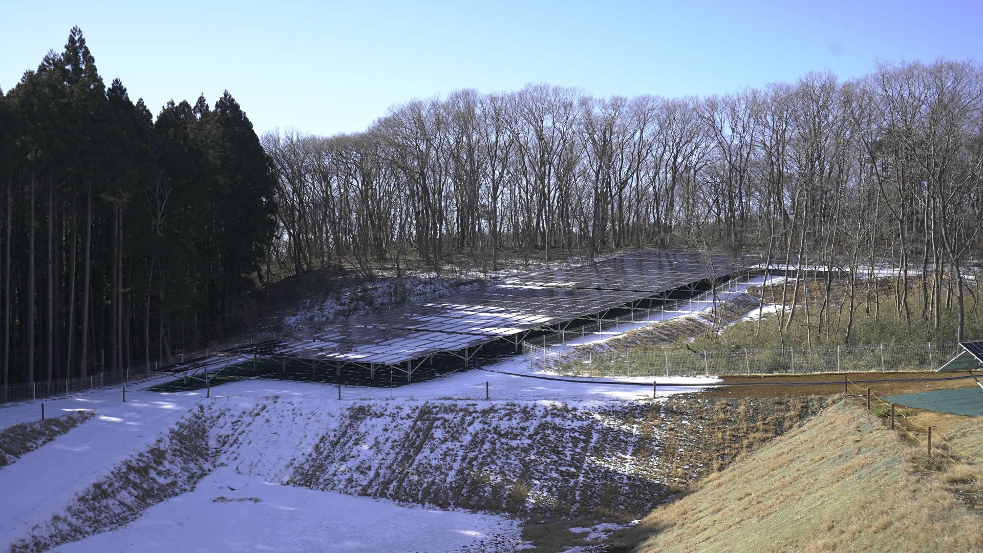 Centrale fotovoltaica nella prefettura di Tochigi, Giappone